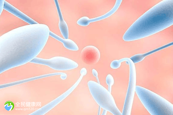 女的正常男性精子成活率低，试管婴儿成功率高么？