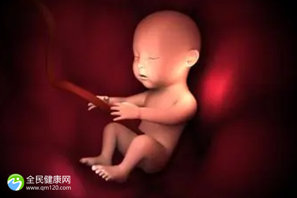 武汉中南医院试管婴儿收费价目表，武汉中南医院试管婴儿费用