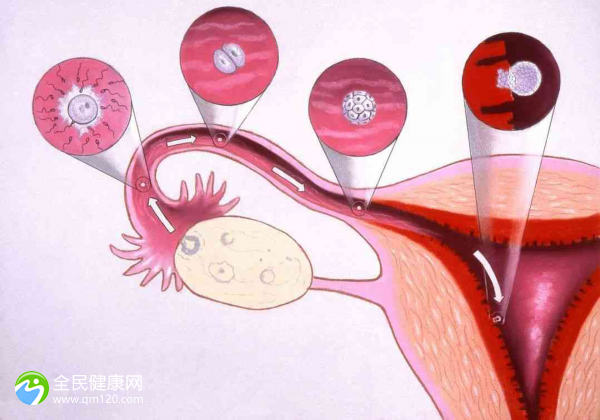 1次生化妊娠可以做试管婴儿吗？