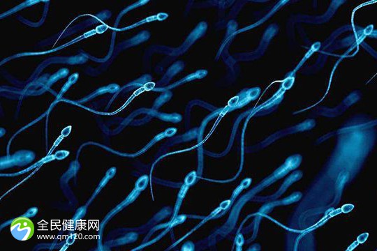 男性死精率高是什么原因？造成男性死精率高的原因