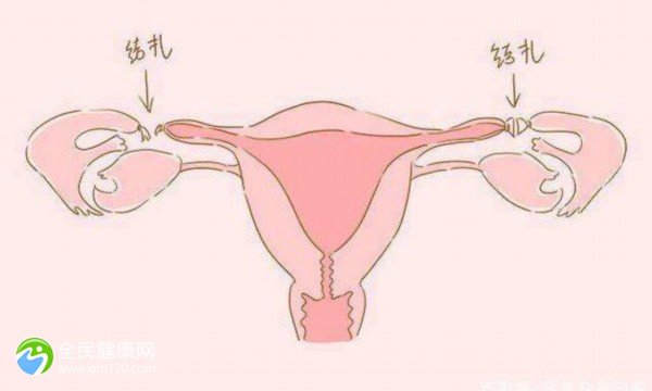 试管婴儿是避开输卵管吗？试管婴儿是放进子宫还是输卵管？