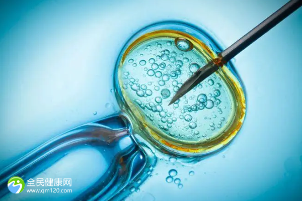 试管婴儿移植囊胚和冻胚的费用-试管婴儿移植囊胚和冻胚的区别