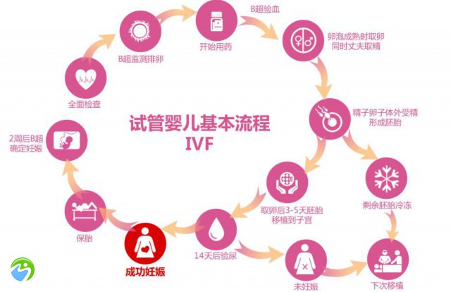 广东试管私立医院最新排行榜