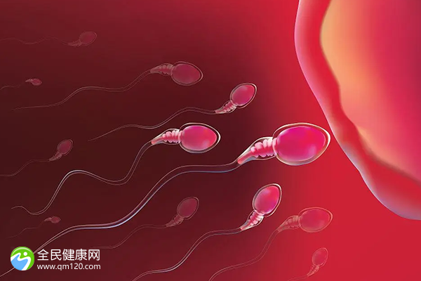 排卵期怎么查卵泡发育呢？月经第十一天没有卵泡卵巢囊肿还在正常吗？ 