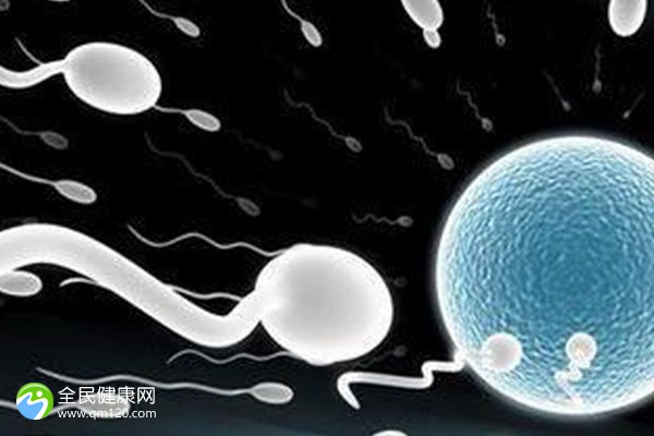二代试管养囊胚成功率多少？二代试管养囊胚成功率多少啊？