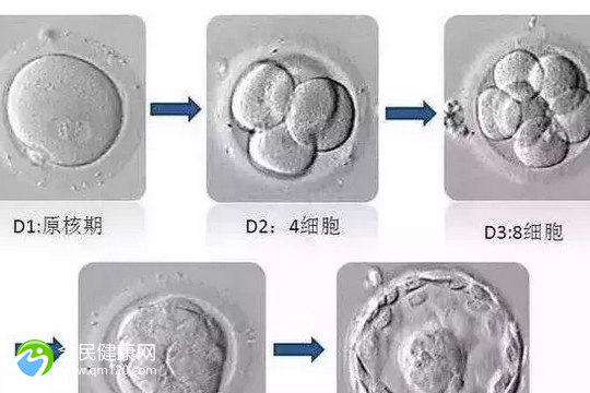 西安市单身试管成功几率高吗？