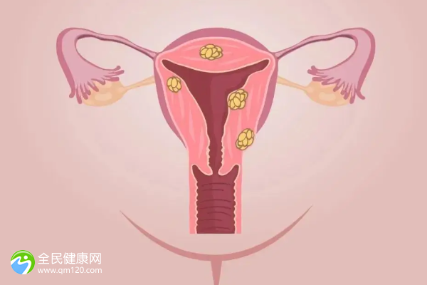 51岁女人绝经做试管的成功率能达到多少？