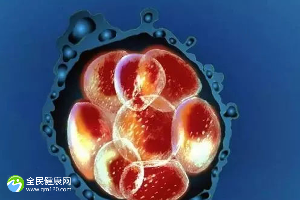 桂林市妇幼助孕等两三年是常态，桂林市妇幼保健院助孕时间