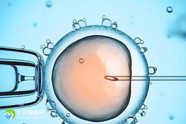 做试管婴儿为什么要做输卵管造影？试管前是否必须做输卵管造影？