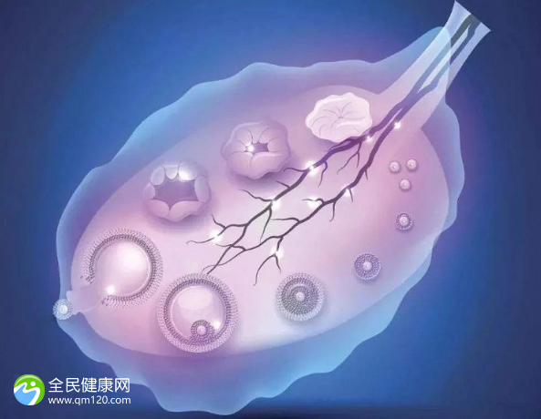 有卵不排做试管成功率有多高？