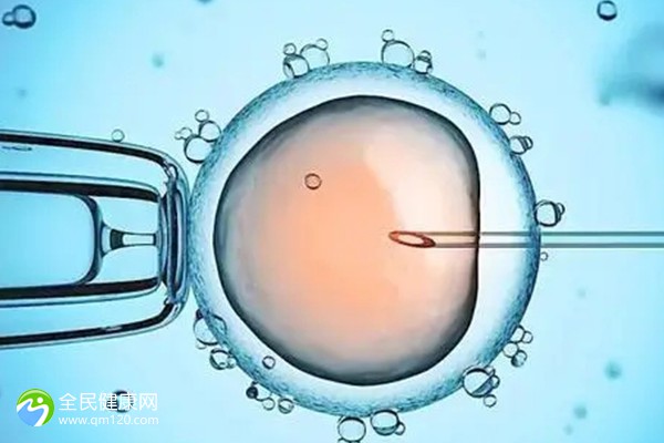 试管最心酸的是胎停还是胚胎，试管婴儿出现胎停的几率有多大