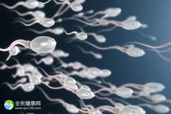 女人正常老公精子弱能做试管婴儿吗？成功几率有多大？