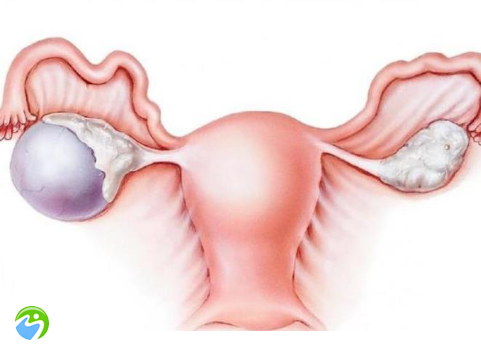 卵巢功能减退试管是不是不容易成功？卵巢功能衰退三代试管婴儿