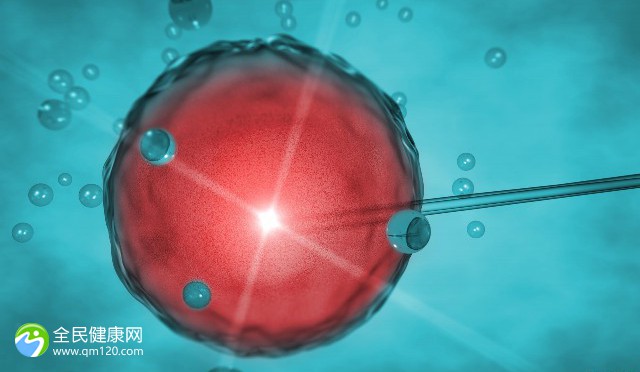 试管婴儿囊胚能移植几个？