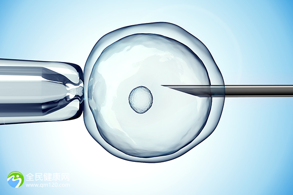 做试管三代多久能移植胚胎？