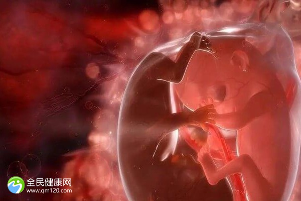 试管胚胎停止发育症状是什么，试管胚胎停止发育症状是什么样的