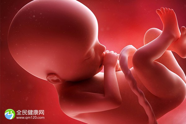 惠州比较好试管婴儿医院排名 惠州能做试管的医院有哪些