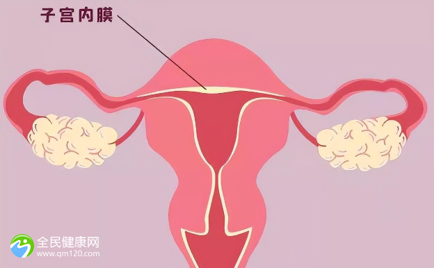 子宫切除做试管成功率高吗？