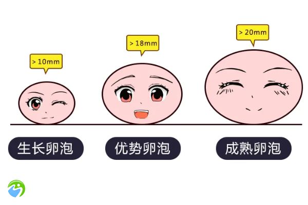 55岁绝经了影响试管成功率吗？