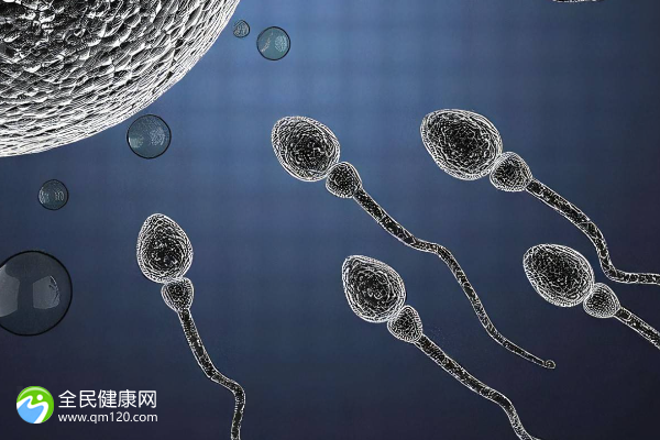 男人重死精子症可以做试管吗？成功率有多高？