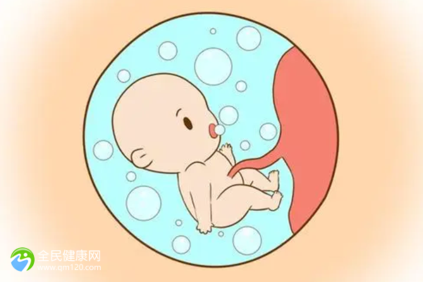 第三代试管婴儿移植鲜胚还是胚囊？