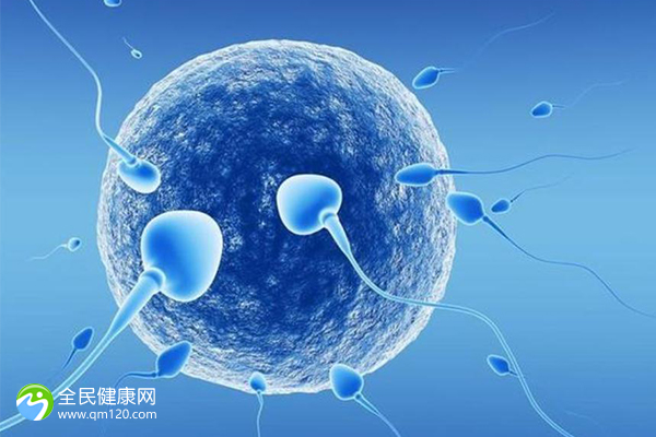 女方正常男人没精子，试管成功几率是多少？