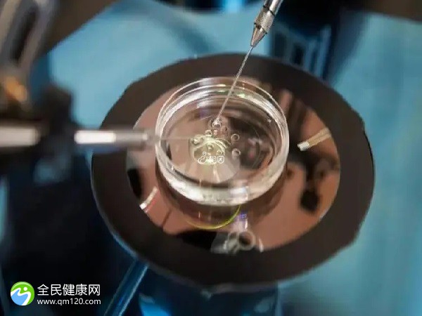 两次试管不成功，我该怎么办？