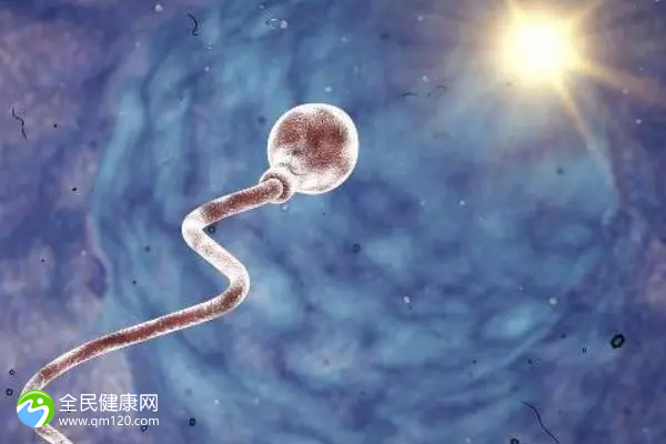 老公精子很差可以做试管吗