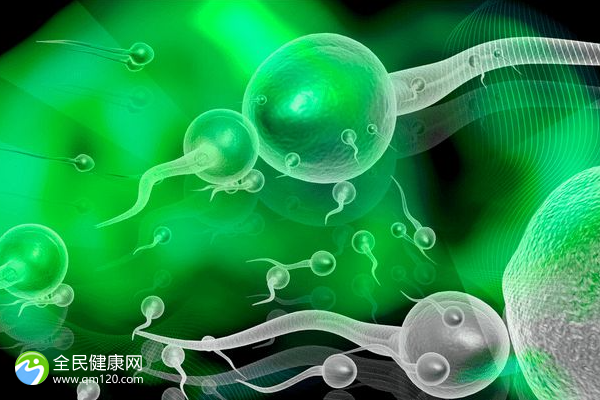 老公精子质量差做试管成功几率有多高？