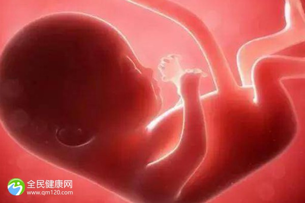 三代试管胚胎数量多少正常？