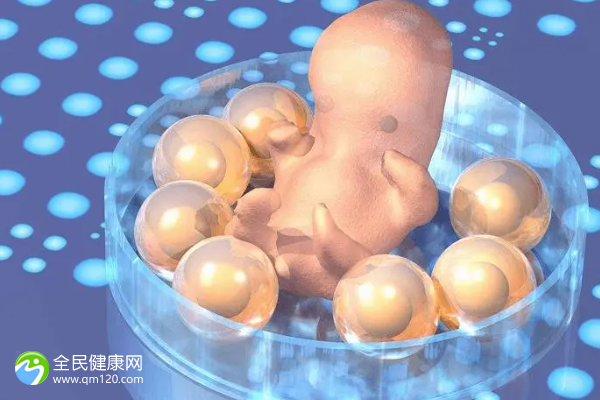 第三代试管胚胎发育时间