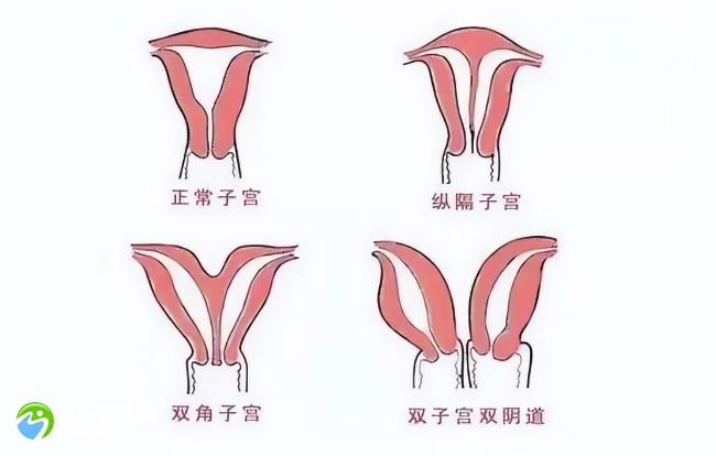 内膜薄只有6试管成功率是多少？