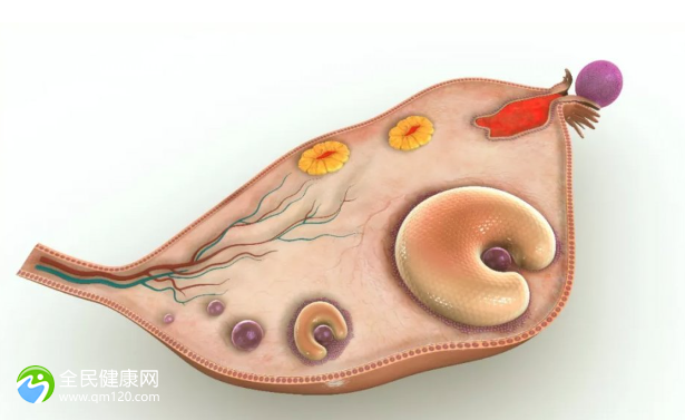 卵巢功能衰退做试管的成功率高不高？