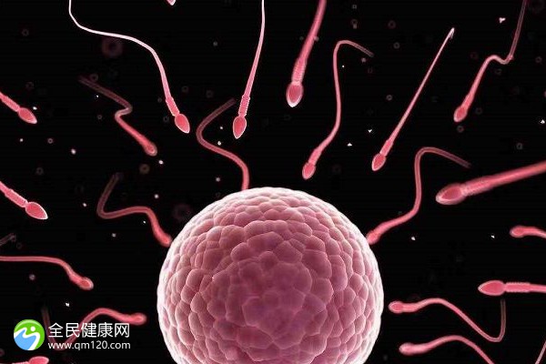 深圳公立医院三代试管婴儿费用要多少