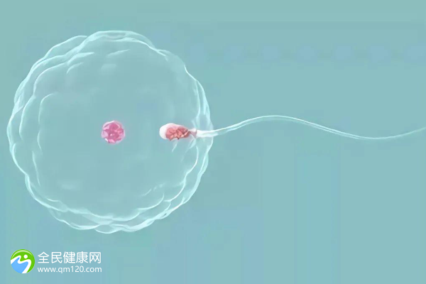 女人正常男人精子质量差可以做试管吗？成功几率有多少？