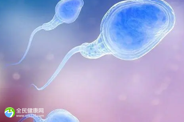 广东试管婴儿医院排名大全 广东试管婴儿哪家医院做的比较好