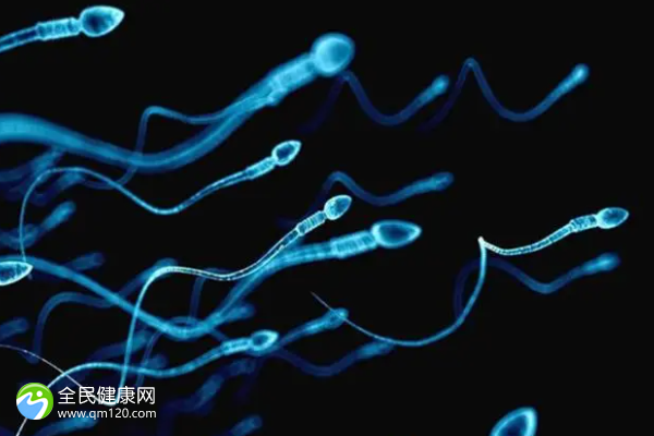 男方精子质量差试管婴儿成功几率多少？