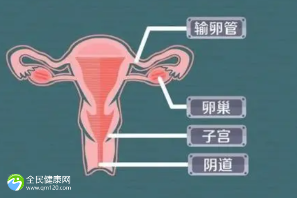 试管两次失败查染色体吗，试管两次失败还继续吗