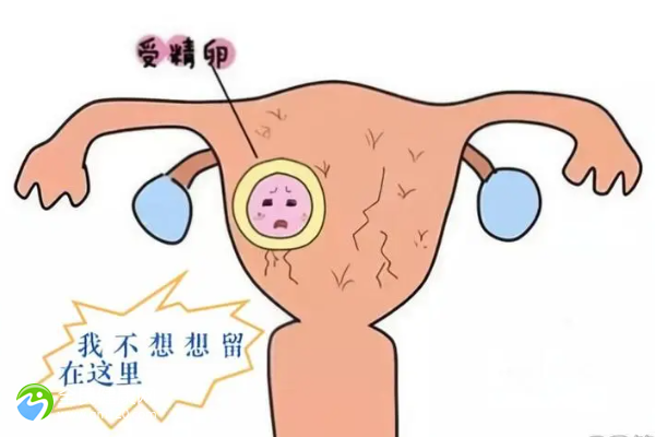 试管4次都没有成功，以后会正常怀孕吗？