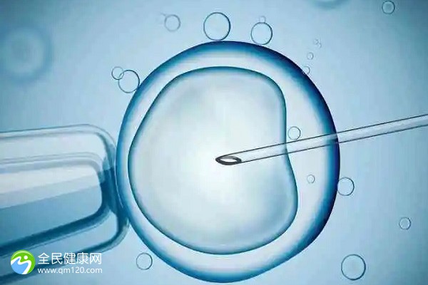 2024天津试管婴儿费用明细表_试管婴儿费用能否分期付款