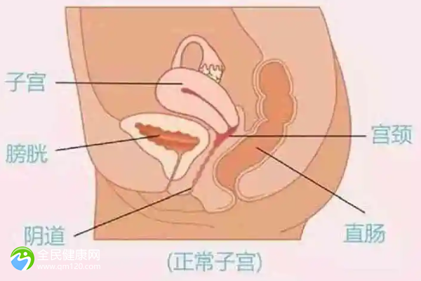 子宫内膜结核还能做试管吗？