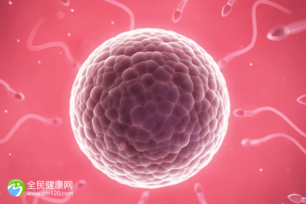 2024江苏试管婴儿医院大全，助孕成功率排名前十分享
