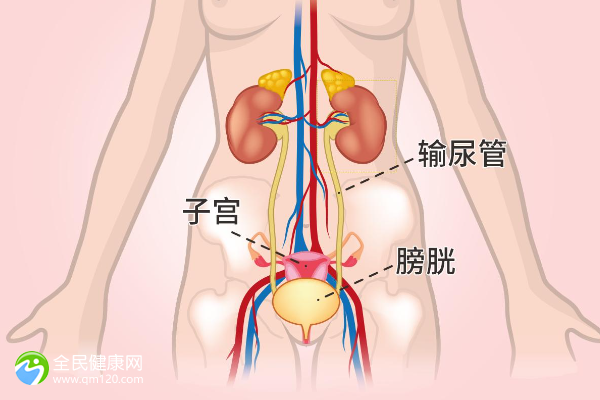 双卵巢切除有办法怀孕吗？