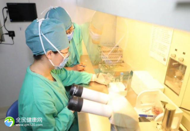 上海市试管婴儿成功率高的医院哪里有？