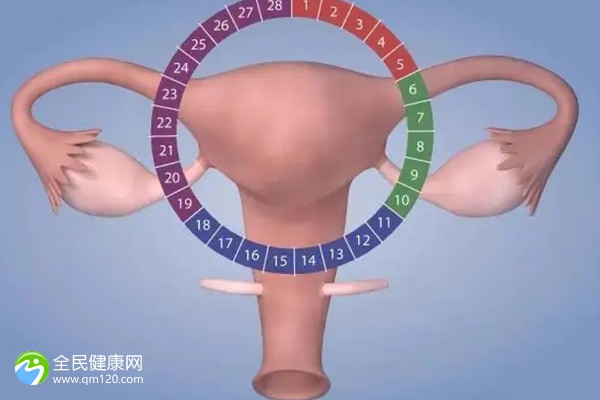 漳州有做三代试管婴儿的医院吗？