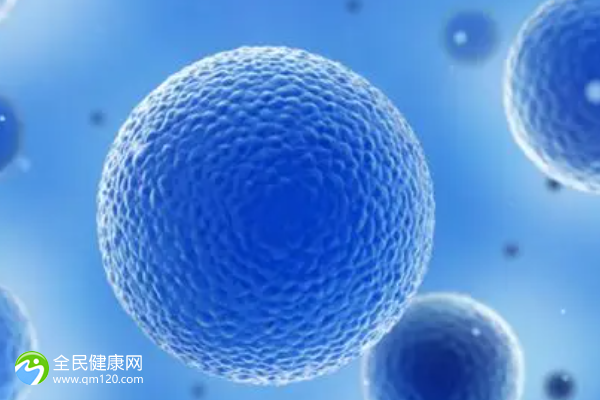 单身男性用精子库精子生子要多少钱？