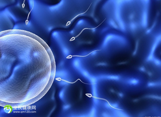 三代试管影响胚胎发育吗