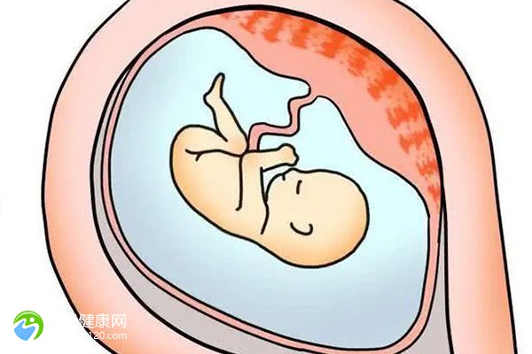 试管婴儿怀孕腹水的风险-试管婴儿怀孕腹水的治疗方法