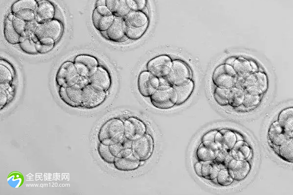 国内单身男人做试管费用解析