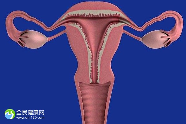 三代试管促排卵后多久出囊胚结果？